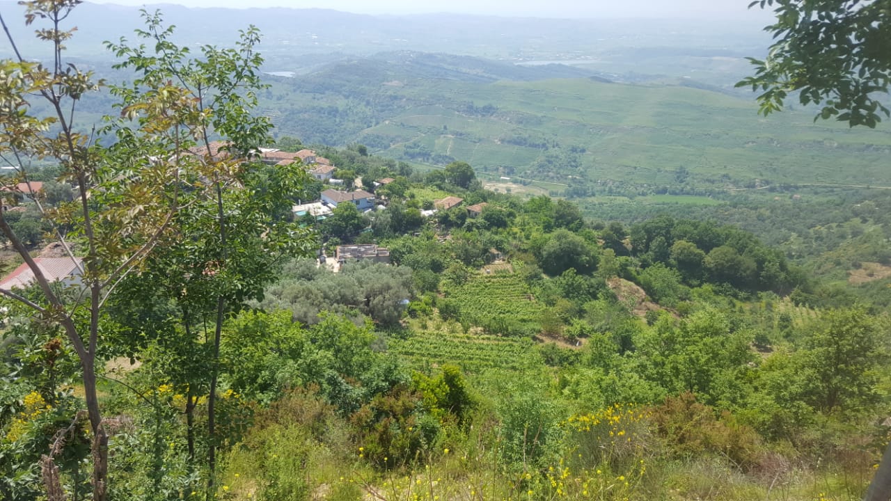 Familja e Z. Afrim Dervishi